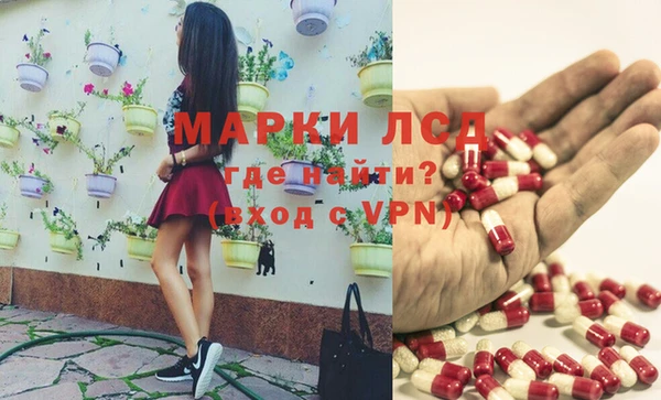 ПСИЛОЦИБИНОВЫЕ ГРИБЫ Балабаново