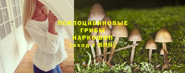 ПСИЛОЦИБИНОВЫЕ ГРИБЫ Балахна