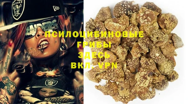 ПСИЛОЦИБИНОВЫЕ ГРИБЫ Балабаново