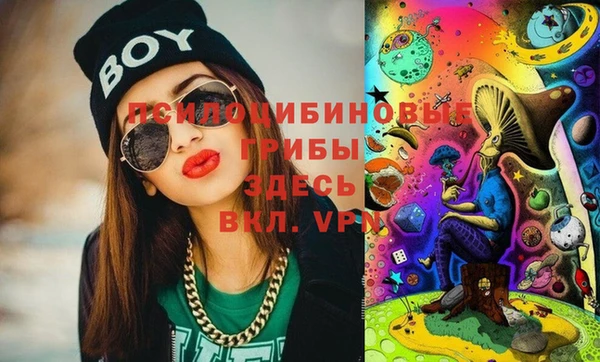 ПСИЛОЦИБИНОВЫЕ ГРИБЫ Балабаново