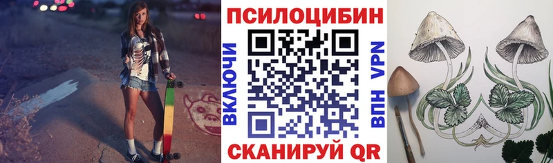 сколько стоит Снежногорск Галлюциногенные грибы мицелий
